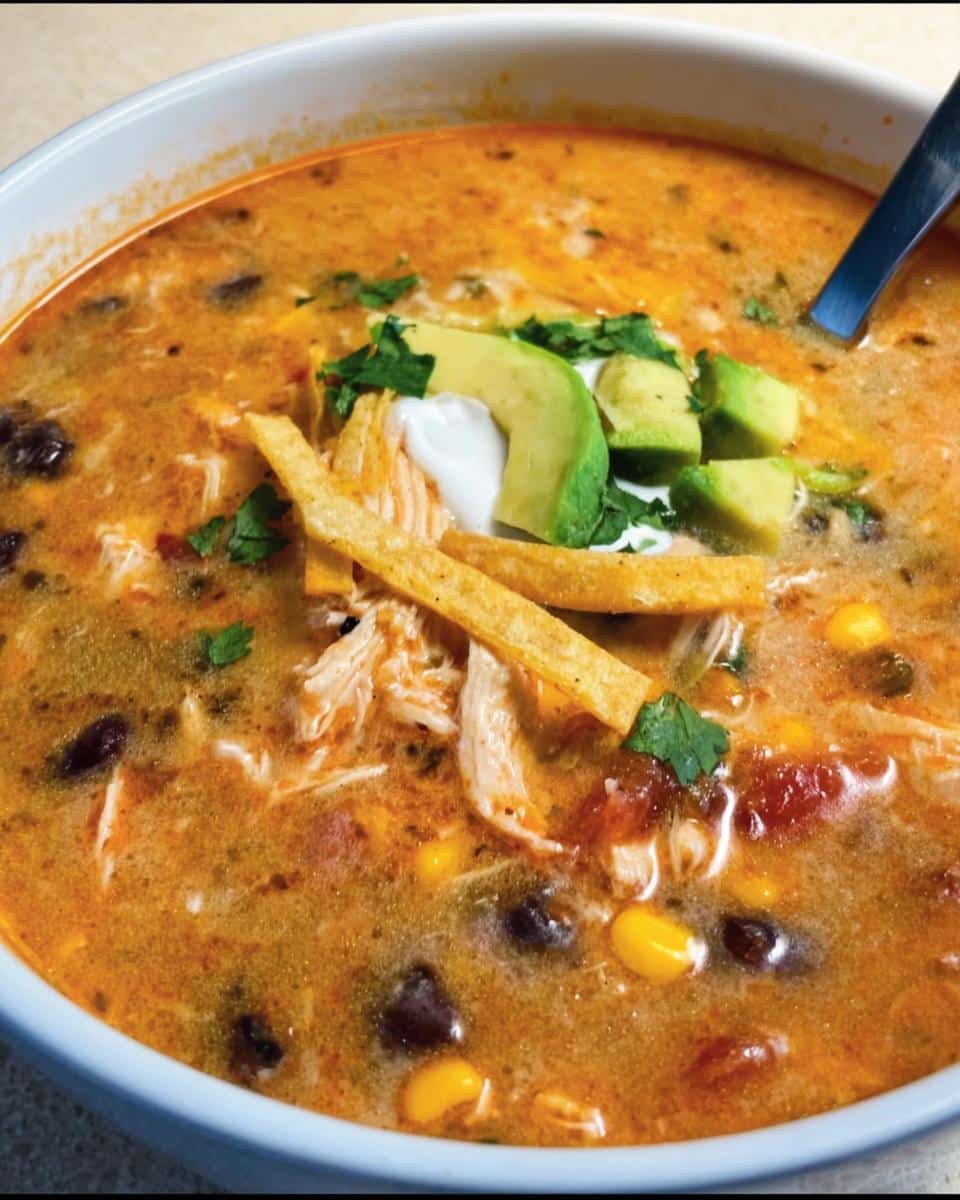 Chicken Enchilada Soup - detail 1