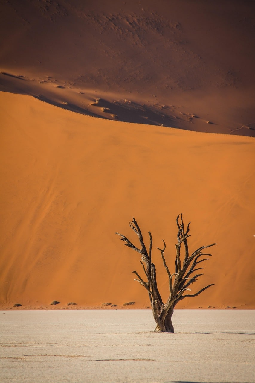 Namibia’s Desert Landscapes
