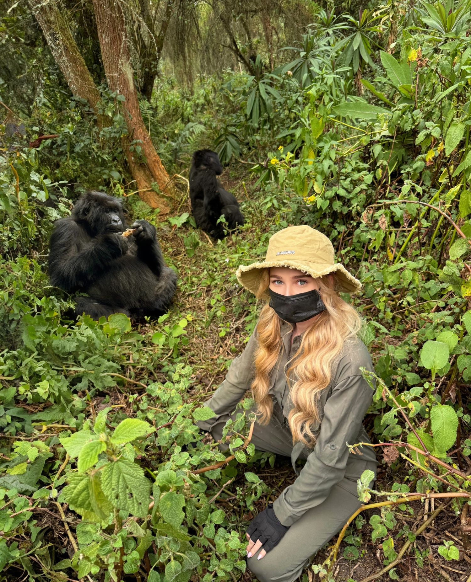 gorilla trekking Rwanda